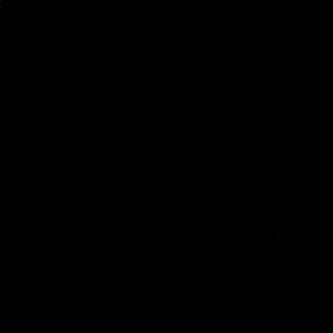 Meet your Posher, Maegan